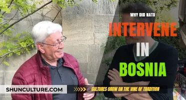 NATO's Bosnia Intervention: Motivations, Strategies, and Global Implications Explained