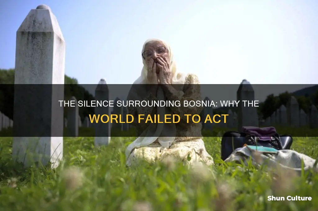 why did no one try to stop the bosnian genocide