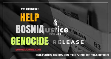 Bosnia's Genocide: The World's Silence and Failure to Intervene