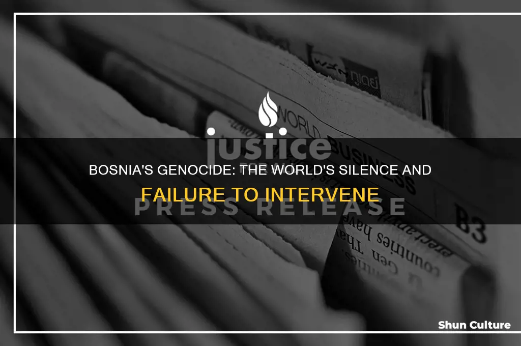 why did nobody help bosnia genocide