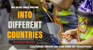 Why Brazil Remained United: Avoiding Fragmentation in a Diverse Nation