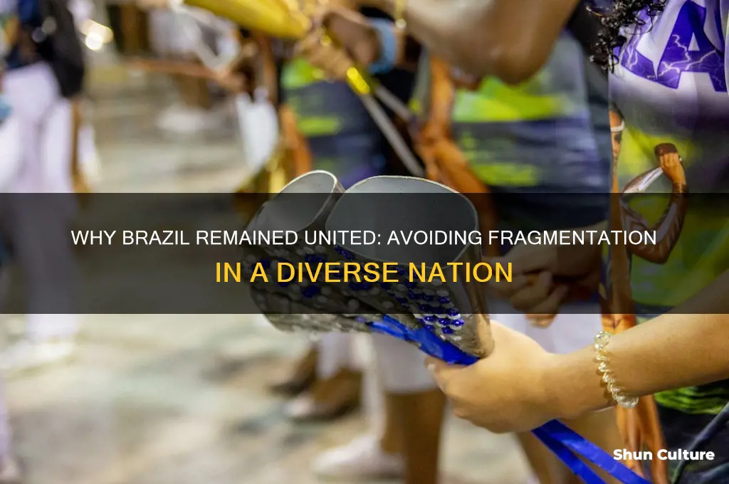 why did not brazil fracture into different countries