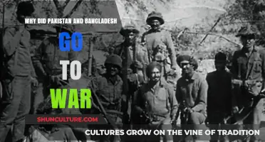 The 1971 Indo-Pak War: Pakistan and Bangladesh's Bitter Conflict