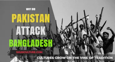Pakistan's 1971 Bangladesh Attack: Historical Causes and Devastating Consequences