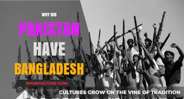 The Historical Divide: Why Pakistan Lost Bangladesh in 1971