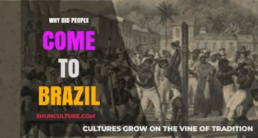 Exploring Brazil's Allure: Historical Reasons for Migration and Settlement