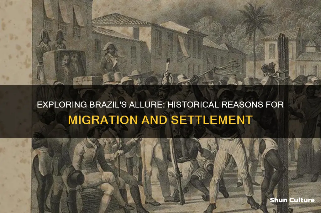 why did people come to brazil
