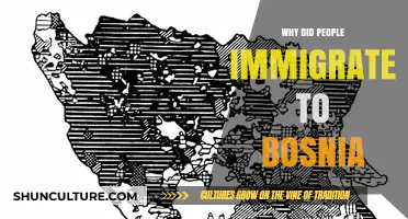 Exploring the Historical and Economic Reasons for Immigration to Bosnia