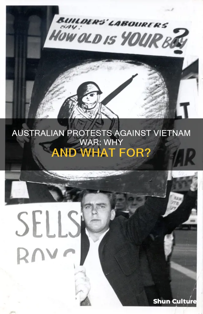 why did people in australia protest the vietnam war