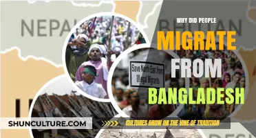 Exploring the Reasons Behind Bangladesh's Mass Migration Trends