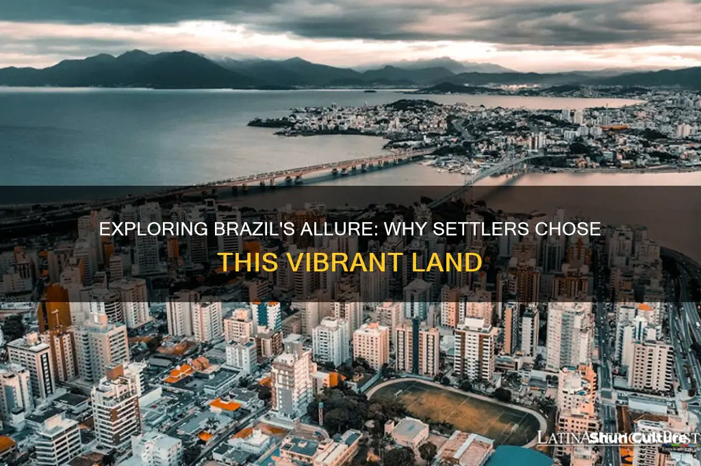 why did people settle in brazil