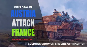 France's Enemies: Prussia and Austria's Motives