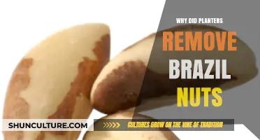 Why Planters Removed Brazil Nuts: Uncovering the Surprising Decision