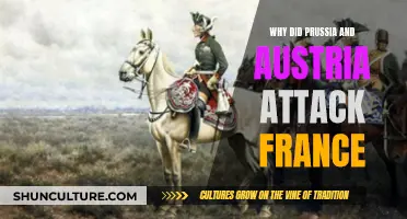 The Franco-Prussian War: Why Austria and Prussia Attacked