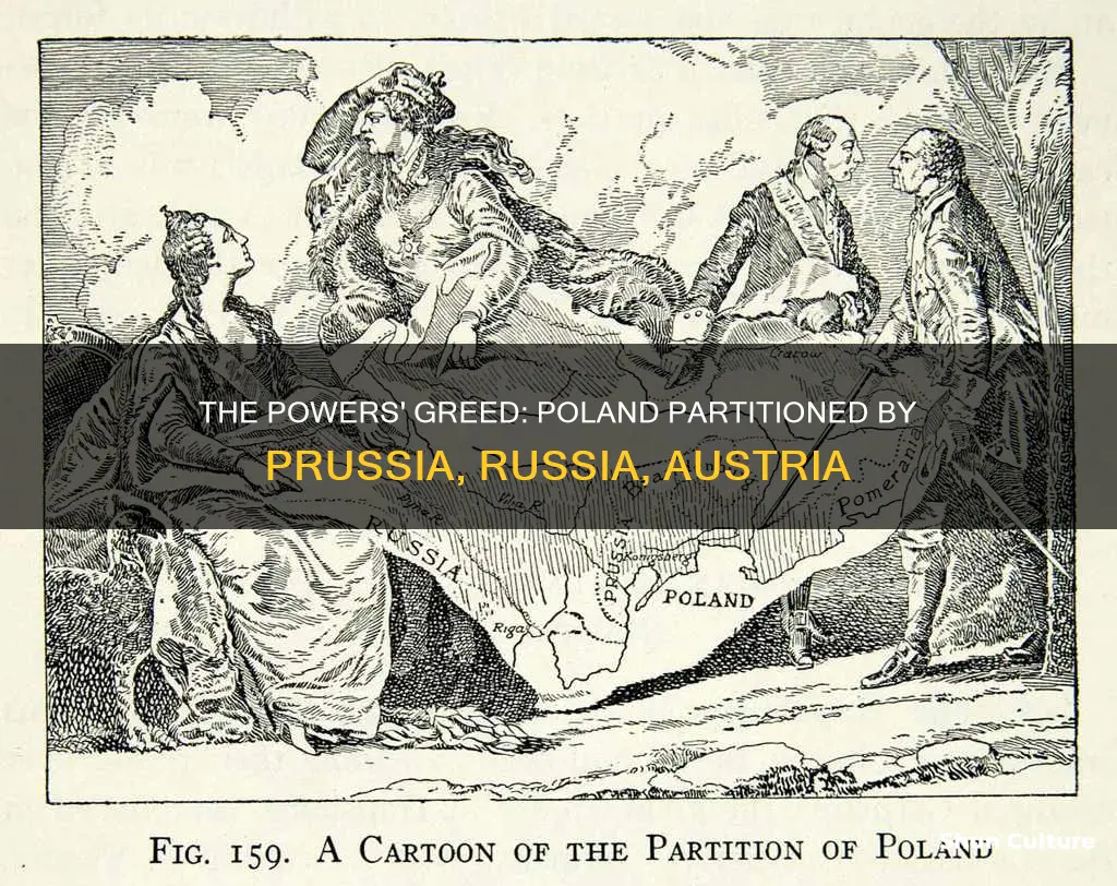 why did prussia russia and austria partitioned poland