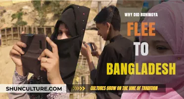 Rohingya Exodus to Bangladesh: Unraveling the Crisis and Reasons Behind the Flight