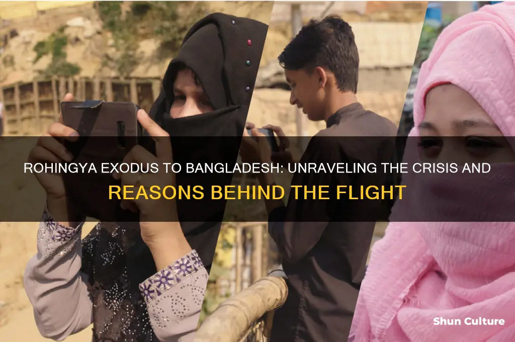 why did rohingya flee to bangladesh