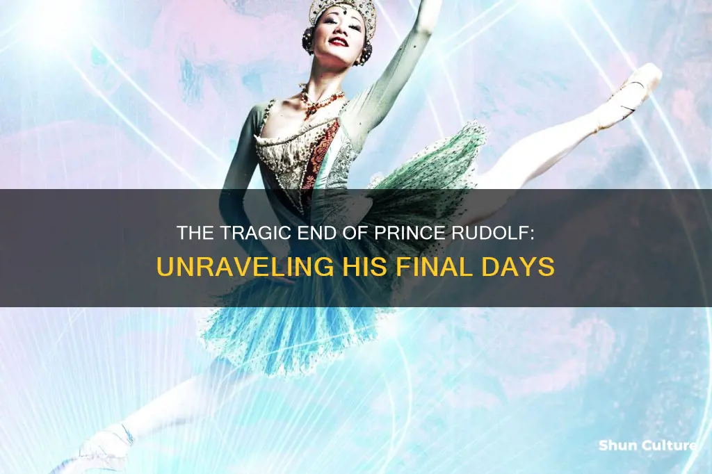 The Tragic End Of Prince Rudolf: Unraveling His Final Days | ShunCulture