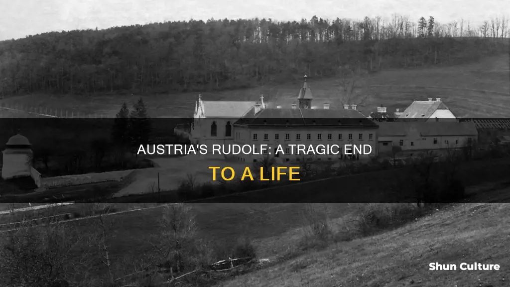 why did rudolf prince of austria commit suicide