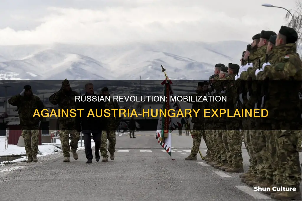 why did russain troops mobilieze agains austria hungary