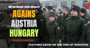 Russian Mobilization: Austria-Hungary's Inevitable Conflict