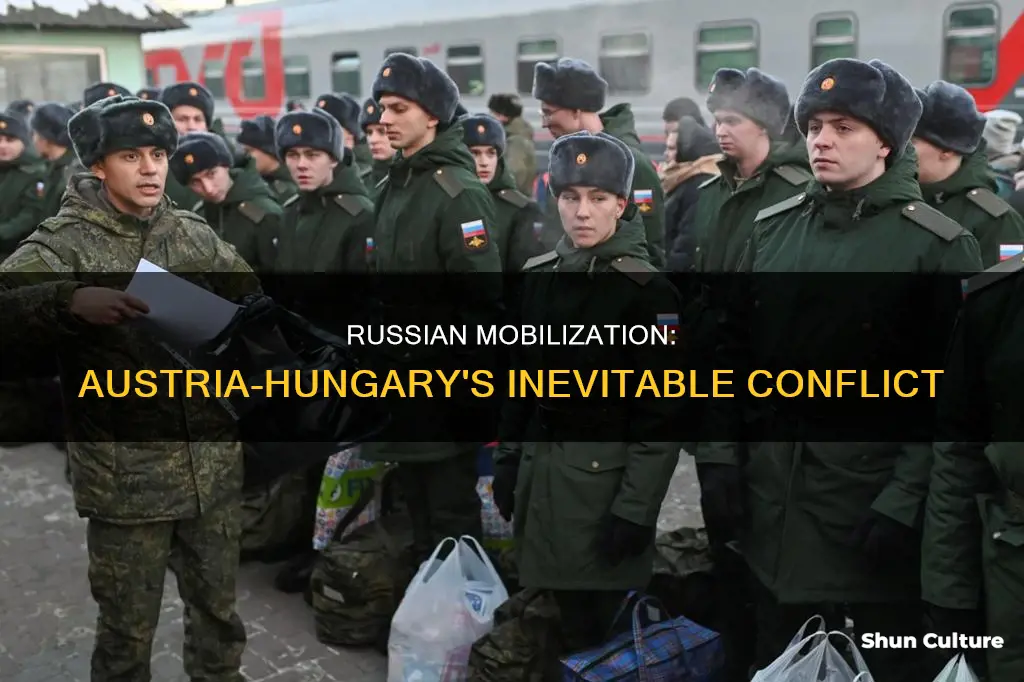 why did russain troops mobilieze agains austria hungary