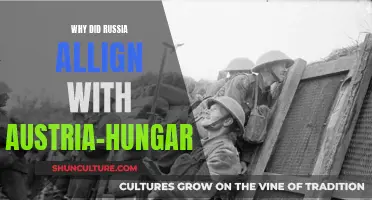 Russia's Alliance: The Austro-Hungarian Attraction Explained