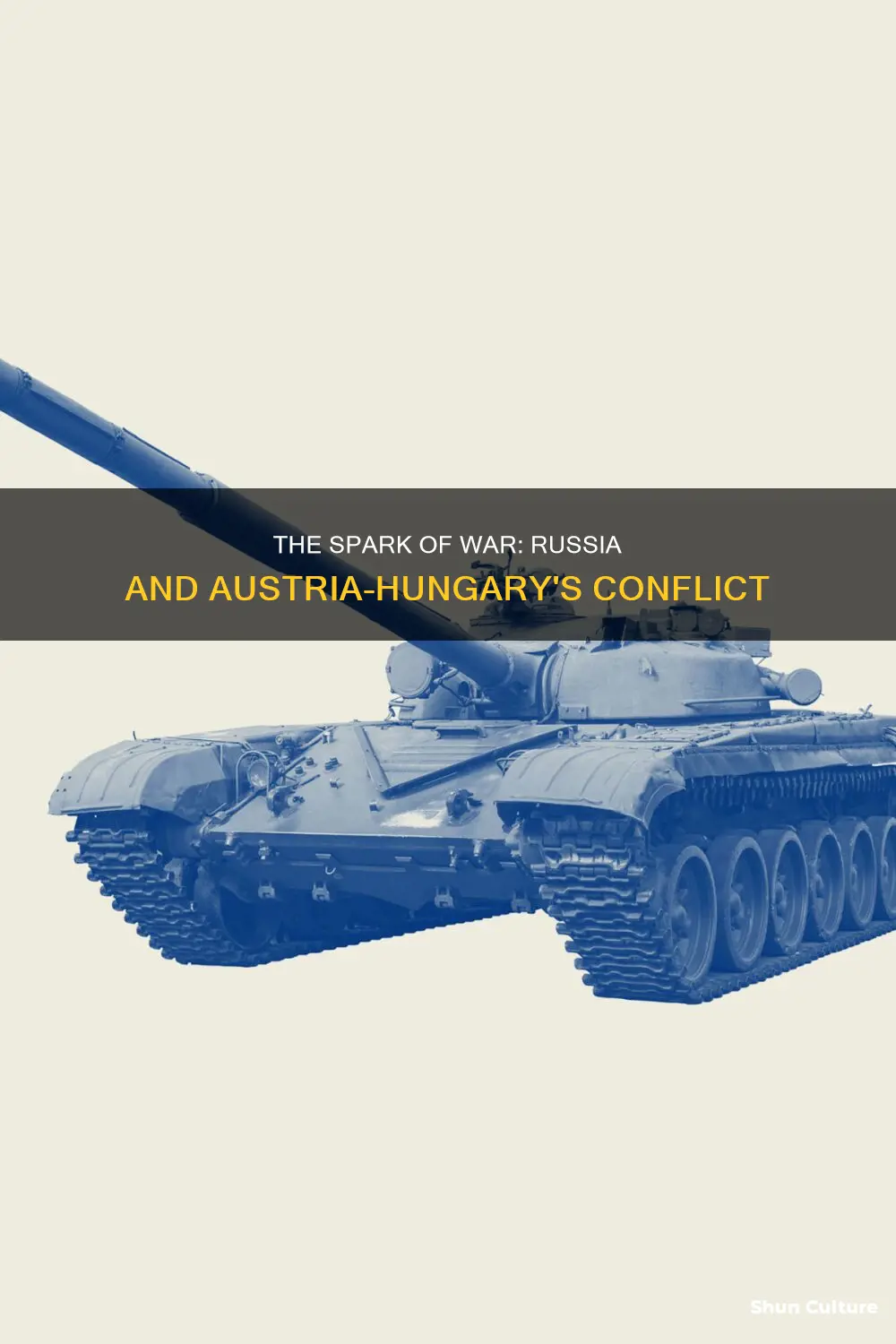 why did russia and austria-hungary go to war