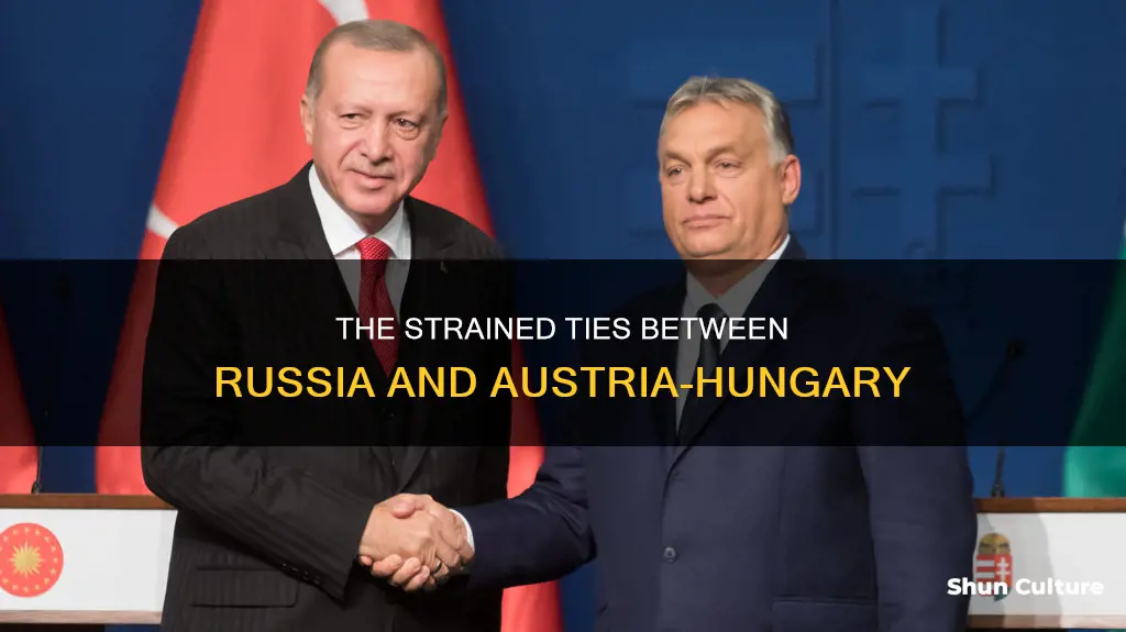 why did russia and austria-hungary not get along