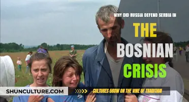 Russia's Alliance with Serbia: Unraveling the Bosnian Crisis Defense