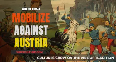 Russia's Mobilization: The Spark of War Against Austria