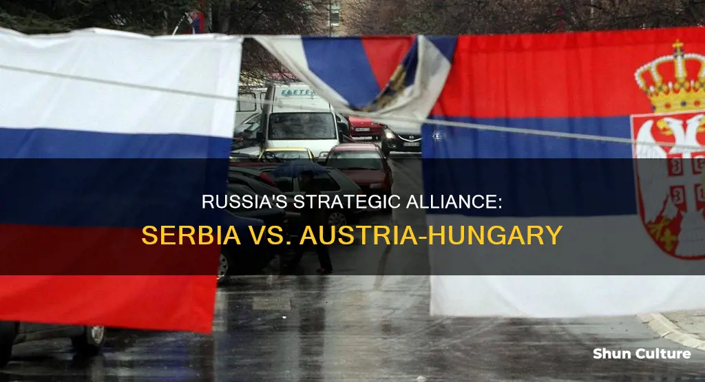 why did russia support serbia against austria-hungary