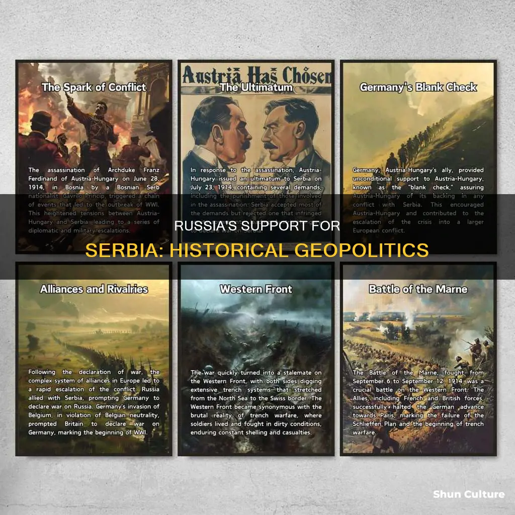 why did russia support serbia against austria-hungary