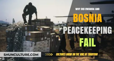 Failed Peacekeeping Missions: Analyzing Rwanda and Bosnia's Tragic Outcomes