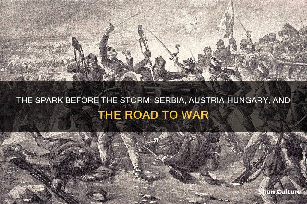 why did serbia and austria hungary clash before 1914