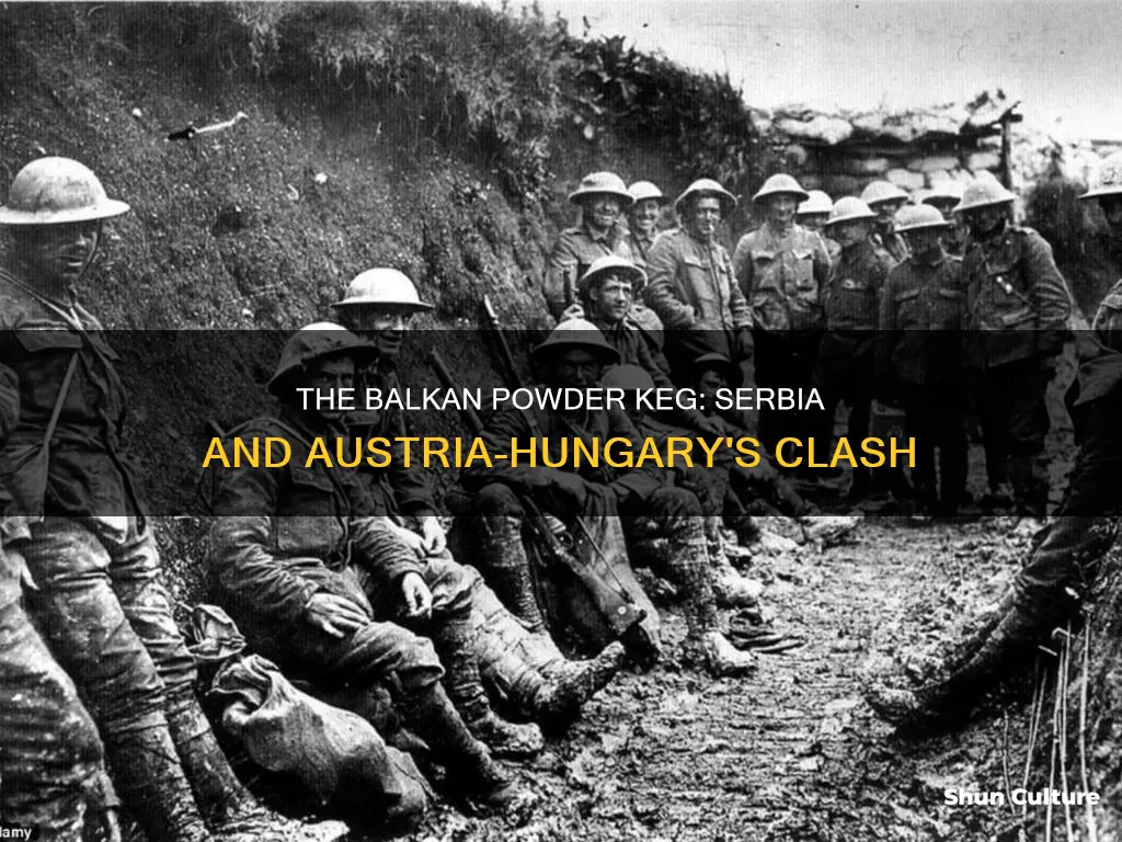 why did serbia and austria hungary clash before 1914