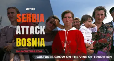 Serbia's Assault on Bosnia: Historical Tensions and the Balkan Conflict