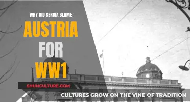 Serbia's Blame Game: Austria's Role in WWI