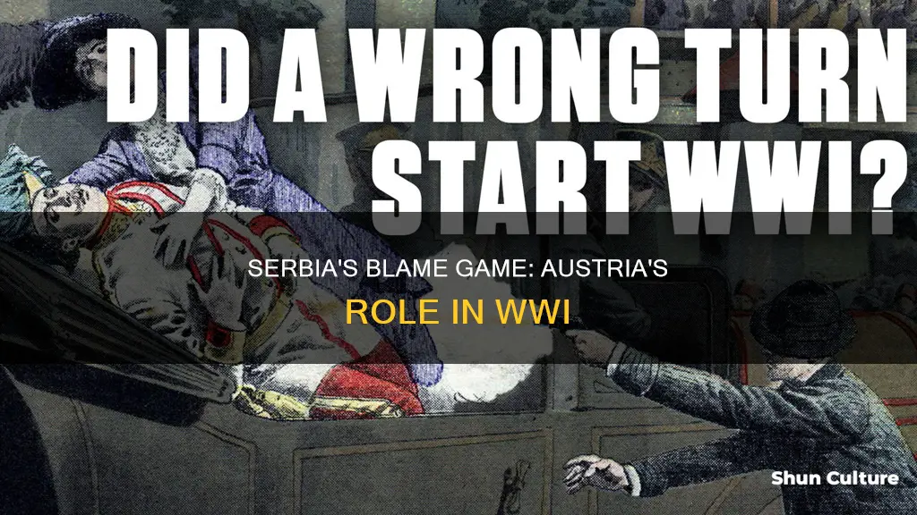 why did serbia blame austria for ww1