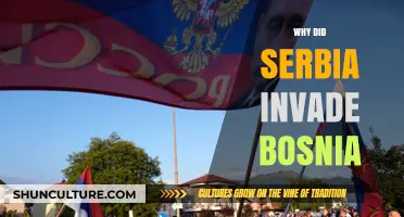 Serbia's Invasion of Bosnia: Historical Tensions and Political Ambitions Explained