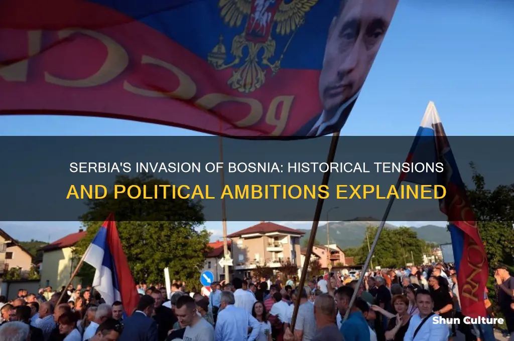 why did serbia invade bosnia