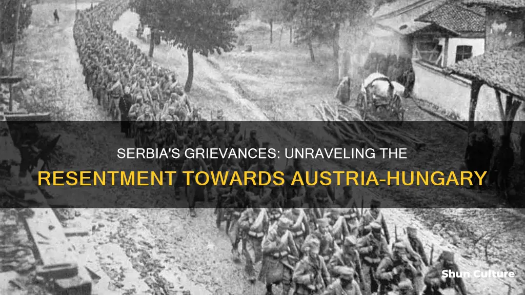 why did serbia resent austria-hungary