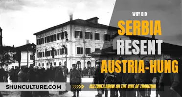 Serbia's Resentment: Austria-Hungary's Expansionist Ambitions and Aggression