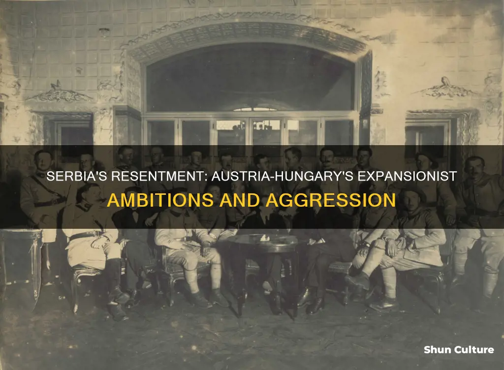why did serbia resent austria-hungary