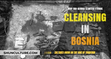 Serbia's Role in Bosnia's Ethnic Cleansing: Historical Causes and Consequences