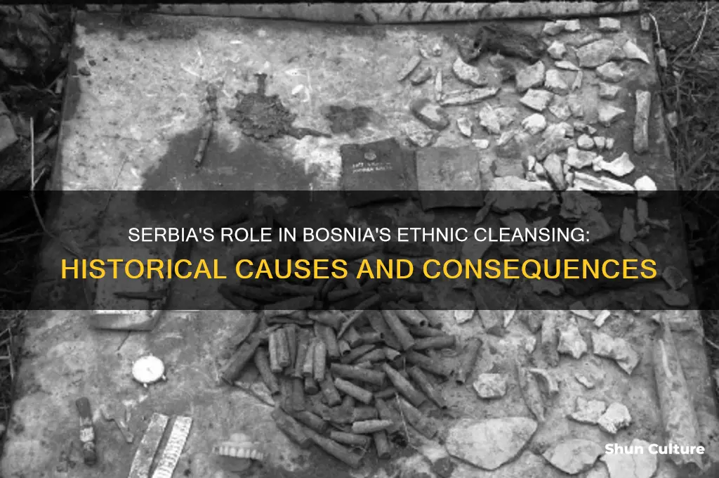 why did serbia started ethnic cleansing in bosnia
