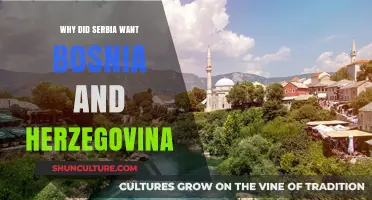 Serbia's Ambitions: The Historical Drive for Bosnia and Herzegovina