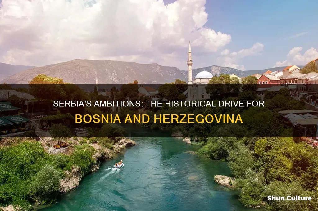 why did serbia want bosnia and herzegovina