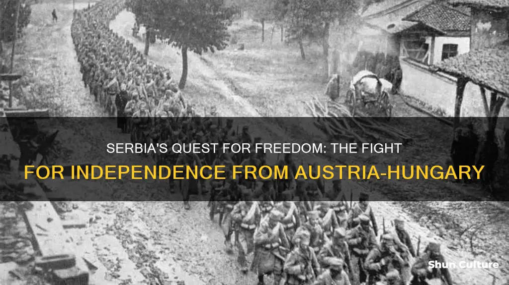 why did serbia want independence from austria hungary