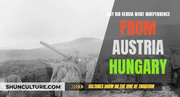 Serbia's Push for Independence from Austria-Hungary: Why?